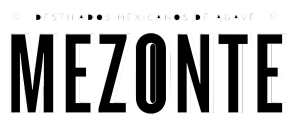 Mezonte